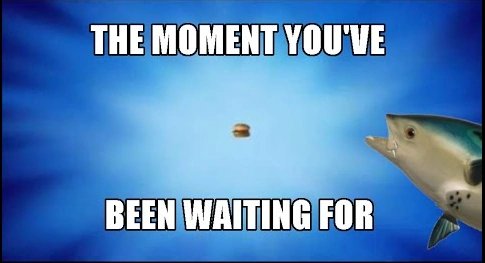 The moment you been waiting for